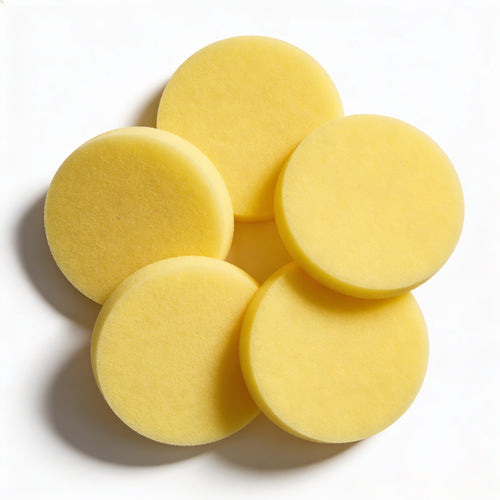 Sada 5 čisticích houbiček na boty